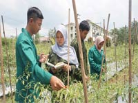 Non Regular Course Program Nomor 10